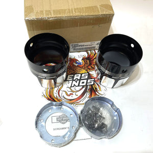 NOS Genuine Harley 2009-2016 Touring Burst Collection 4" End Caps 65100054