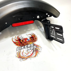 Genuine Harley 2010-2022 Sportster Rear Fender 59865-10BYM