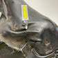 Genuine Harley 1984-1999 Softail Custom Pillow Top Seat  91768-96,91768-85