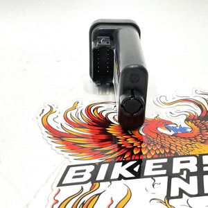NEW Genuine  Harley 2000- 2006 Security System Module TSSM 68980-04