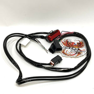 New Genuine Harley 2006-2013 Touring Wire Harness Radio 69200106