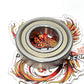 New Genuine Harley 1954-1990 Sportster Transmission Mainshaft Ball Bearing 9025A