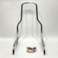 New Genuine Harley 2018 Up Softail HoldFast Sissy Bar Standard Height 52300442