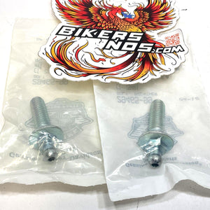 Genuine Harley 1999-2007 Twin Cam Air Cleaner Breather Screw / Bolt Set 29465-99